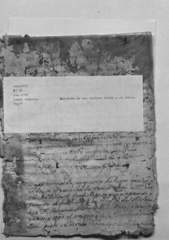 Open original Digital object