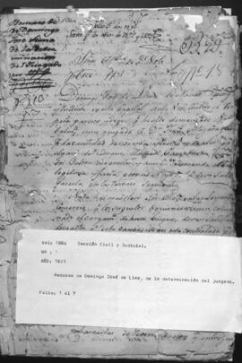 Recurso de Domingo José de Lima, de la determinación del Juzgado.