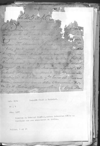 Open original Digital object