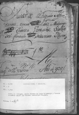 Autos de litigios, sobre bienes de Luis Melgarejo y Teresa  González viuda del finado Sebastián Fleytas.