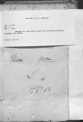 Demanda de José Gómez, contra los bienes de Dionisio Salgado, por deuda.